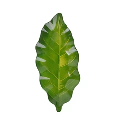 IRIS üveg tál levél alakú, zöld 28 x 12cm