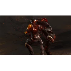 Infamous: Second Son PS4 játékszoftver