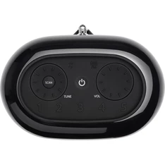 JBL TunerXL fekete hordozható Bluetooth FM/DAB rádiós hangszóró