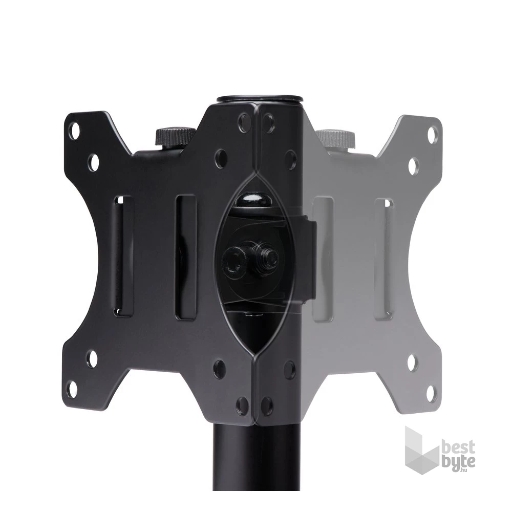 Kensington K55411WW SmartFit Ergo monitorkar