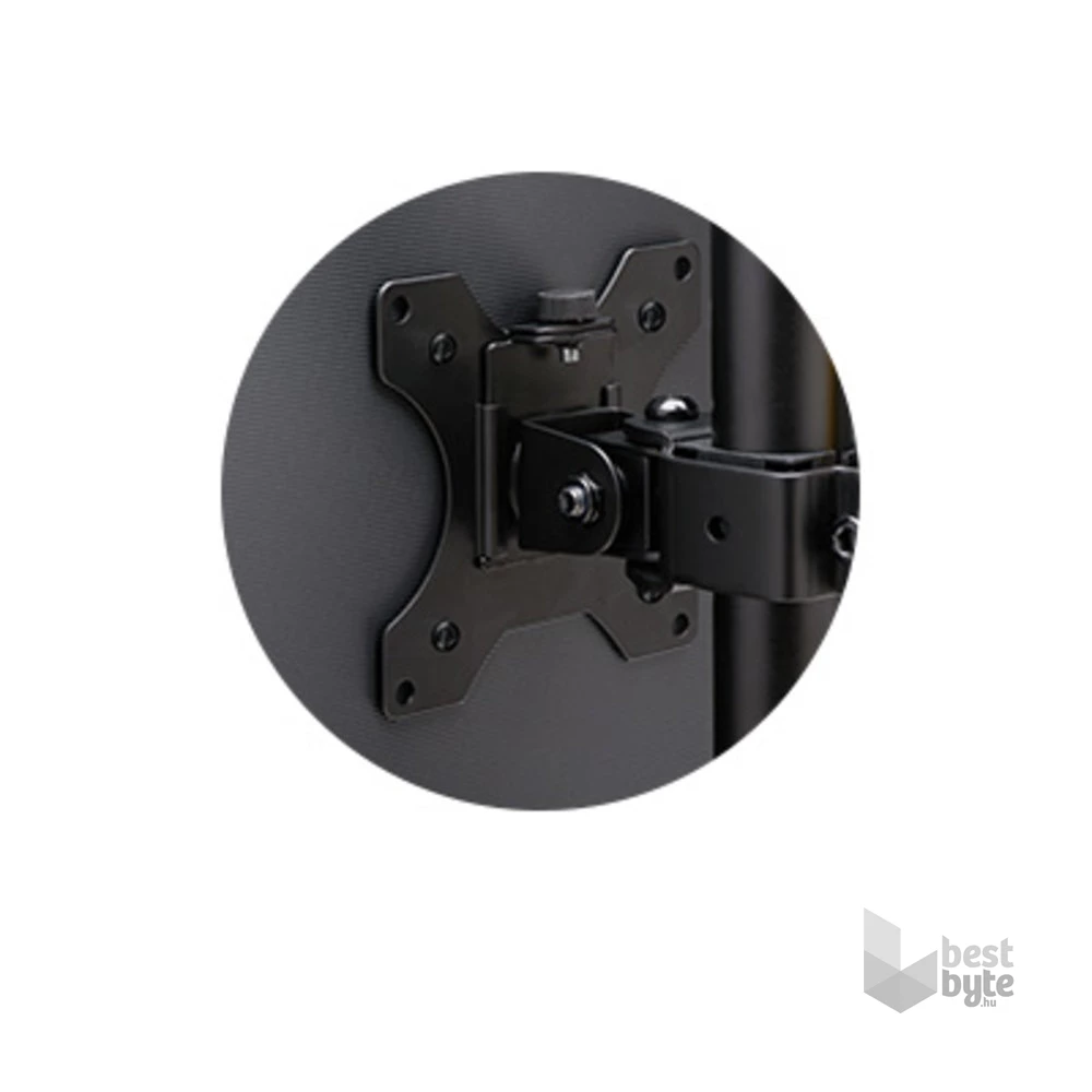 Kensington K55411WW SmartFit Ergo monitorkar