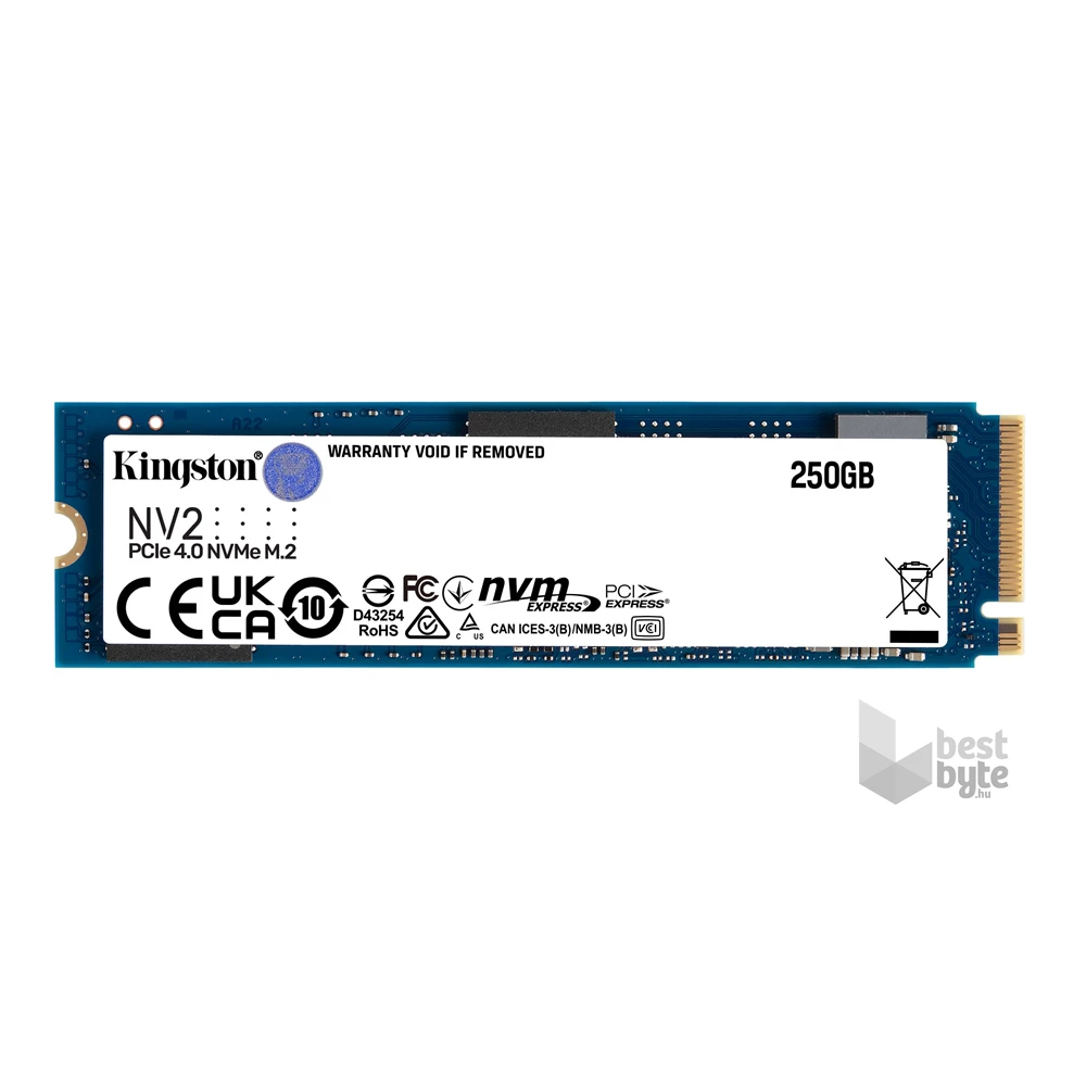 Kingston 250GB M.2 NVMe 2280 PCIe 4.0 NV2 (SNV2S/250G) SSD