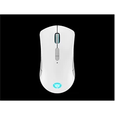 LENOVO Legion M600 Wireless Gaming Mouse (Stingray)