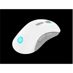LENOVO Legion M600 Wireless Gaming Mouse (Stingray)