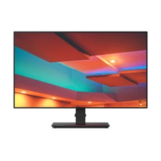 LENOVO ThinkVision 61E9GAR6EU 27" P27h-20 IPS monitor