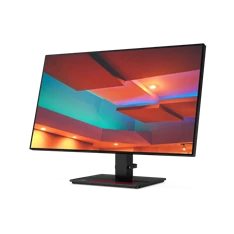 LENOVO ThinkVision 61E9GAR6EU 27" P27h-20 IPS monitor