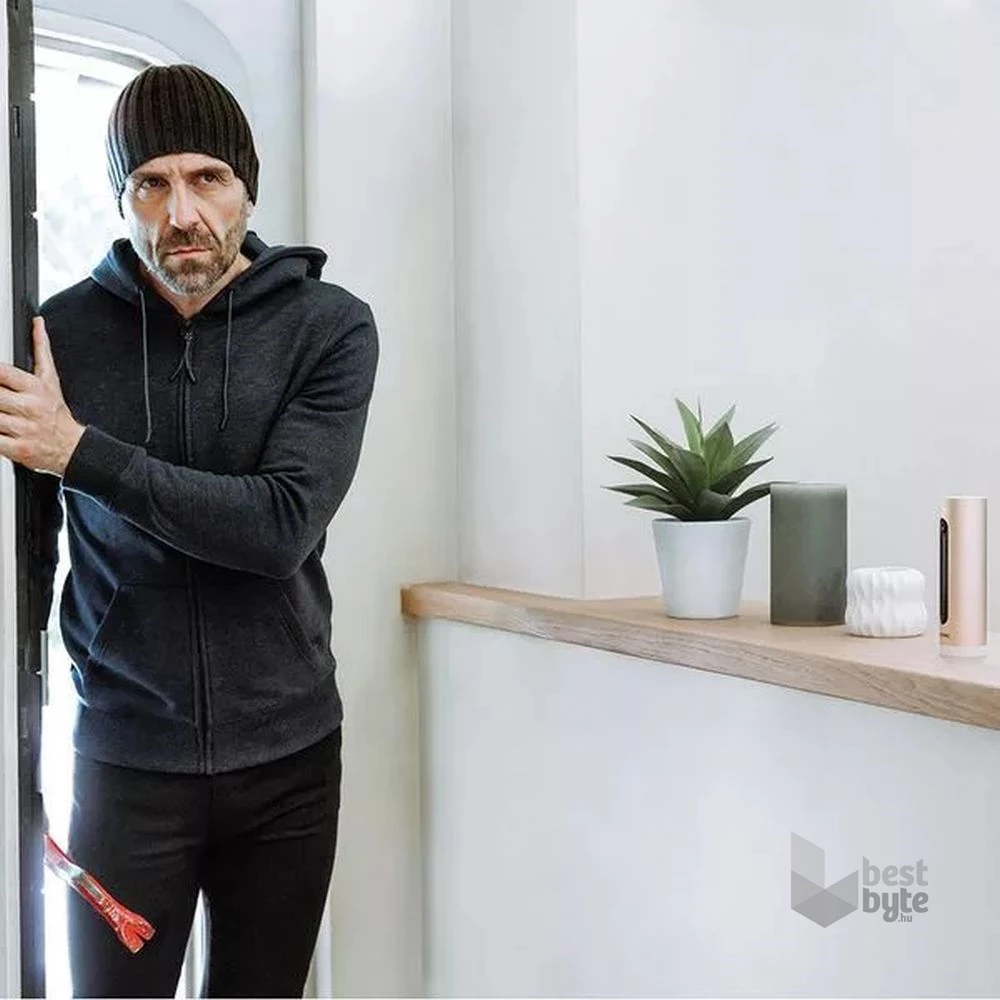 Legrand Netatmo Pro NSC-PRO Intelligens WiFi Beltéri kamera