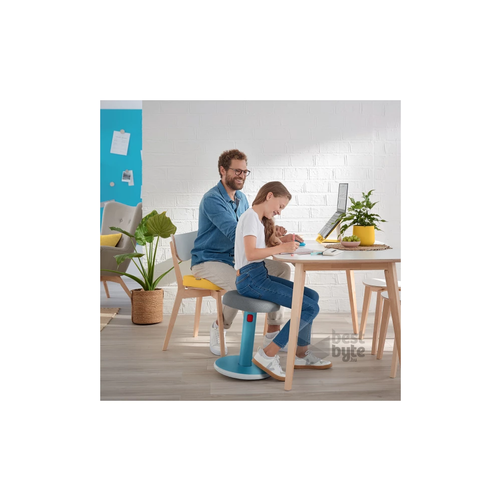 Leitz COSY Ergo Active nyugodt kék ergonomikus ülő-álló szék