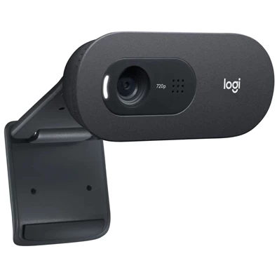 Logitech C505e 720p üzleti webkamera