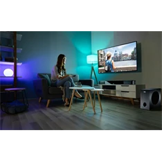 Magnat SBW 280 aktív 2.1 hangprojektor rendszer (Újszerű)