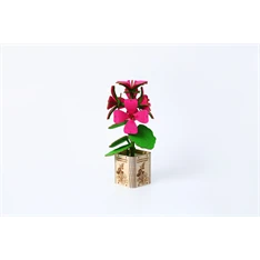 Multiversum 3D Fa Geranium 3D puzzle