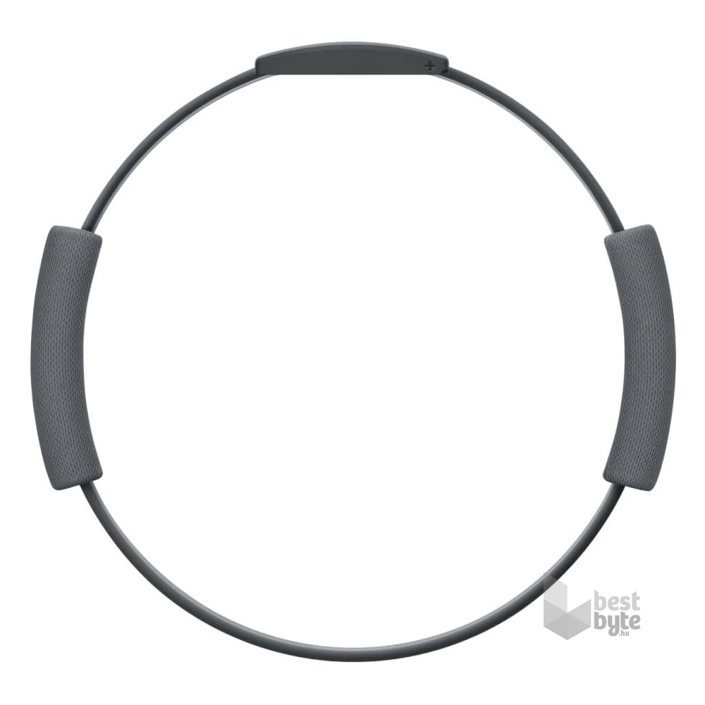Ring Fit Adventure Nintendo Switch játékszoftver