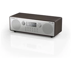 Panasonic RF-D100BTEGT Bluetooth rádió