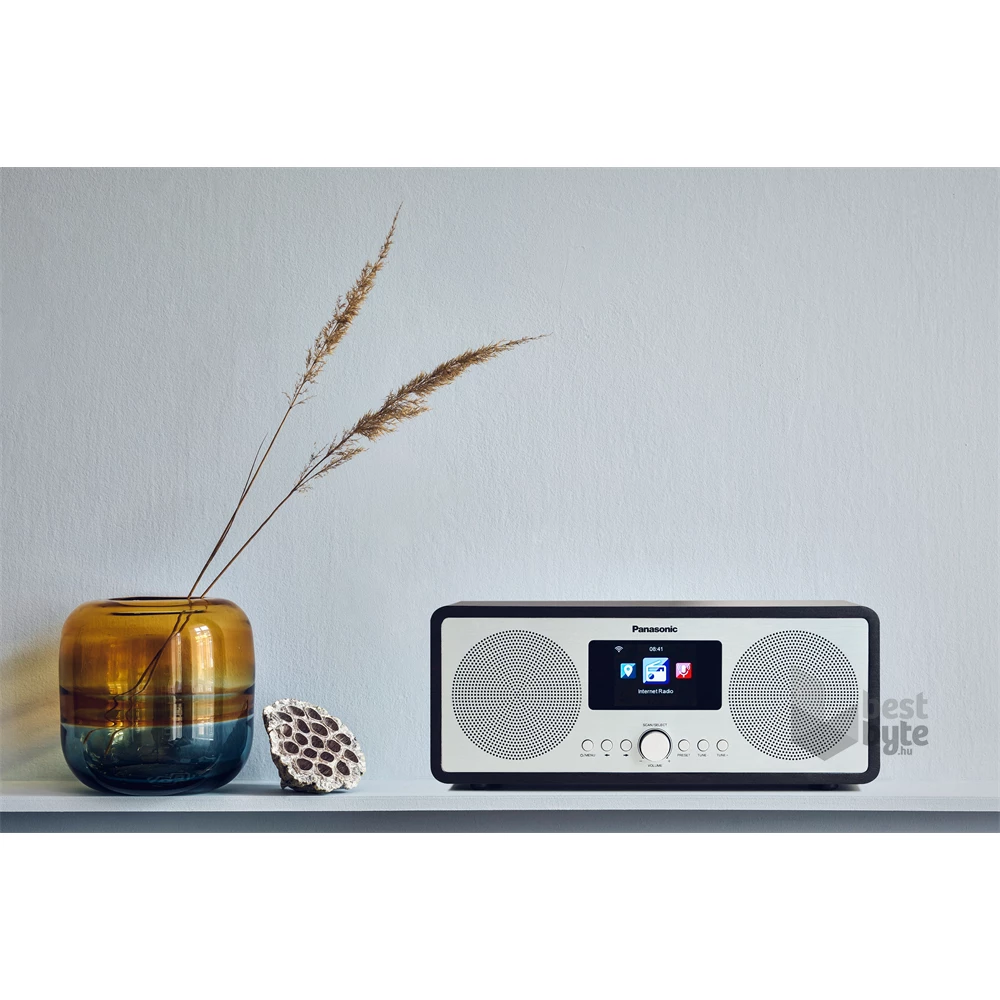 Panasonic RF-D40EG-K internetes rádió