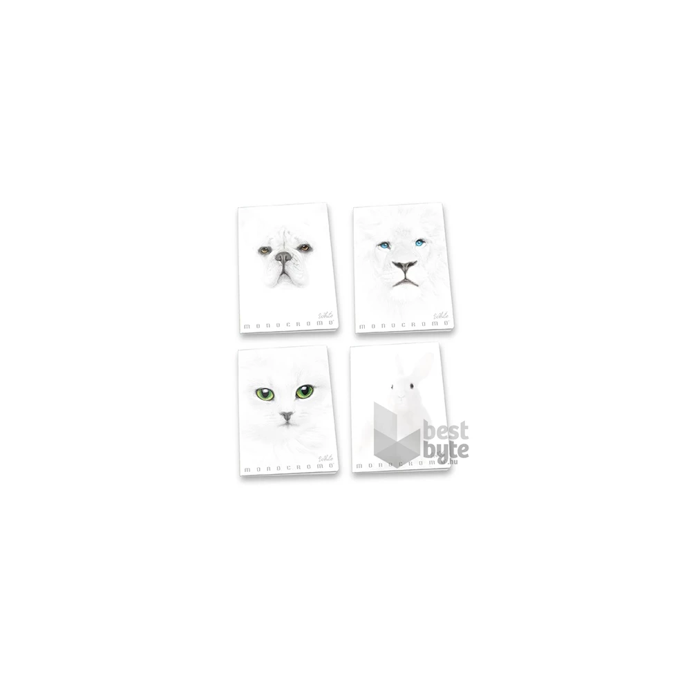 Pigna Monocromo White A4 38lapos vonalas füzet