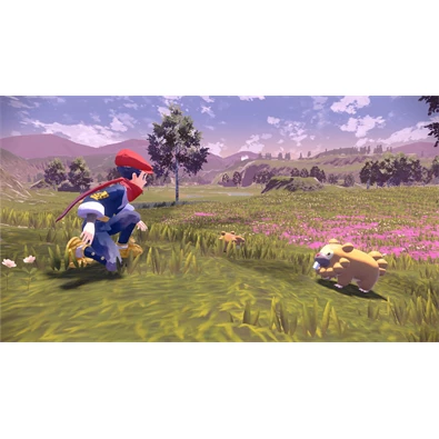 Pokémon Legends: Arceus Nintendo Switch játékszoftver