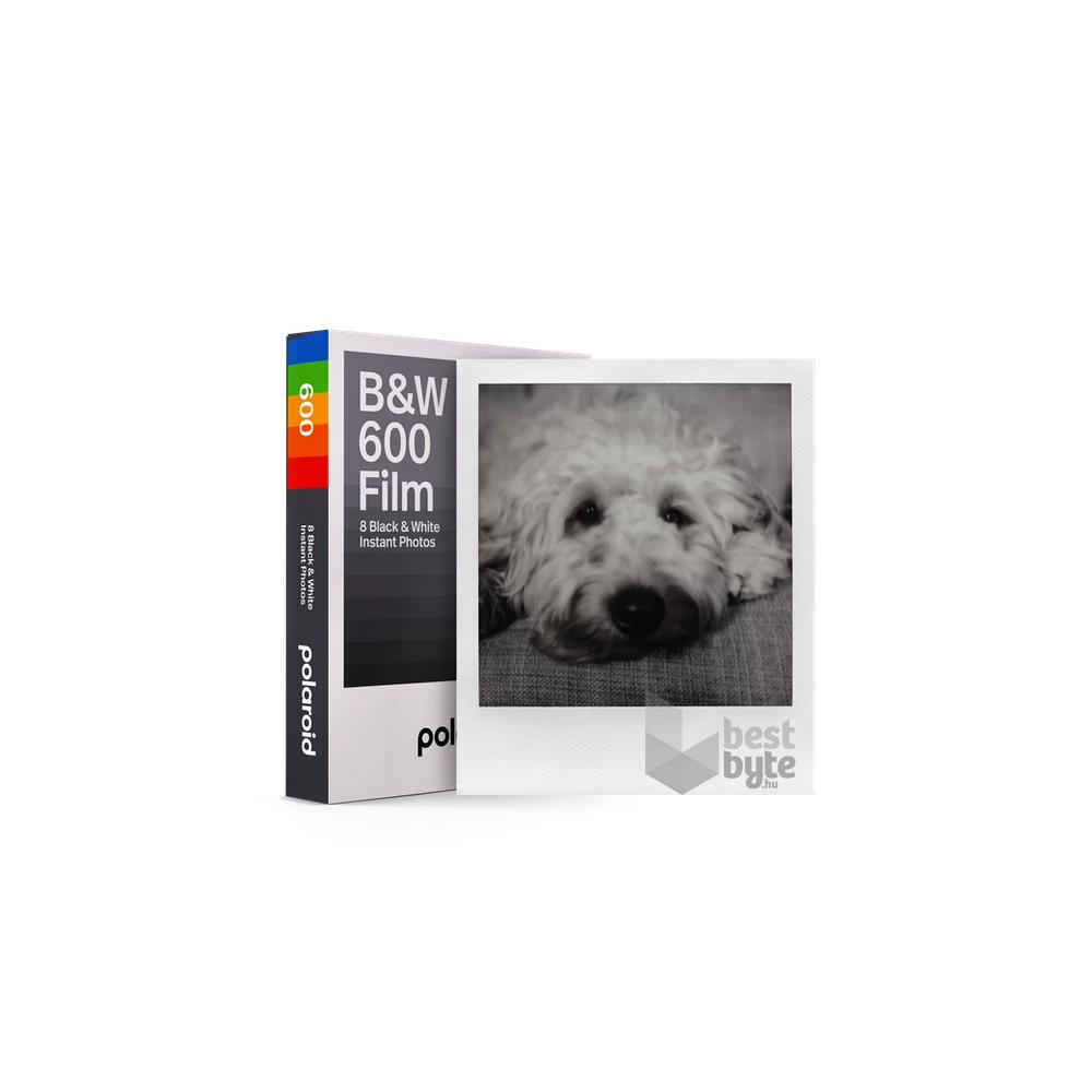Polaroid B&W for 600 film