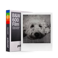 Polaroid B&W for 600 film