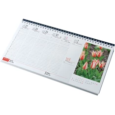 Realsystem 2024-es Virágok 7981-08 képes zöld asztali naptár