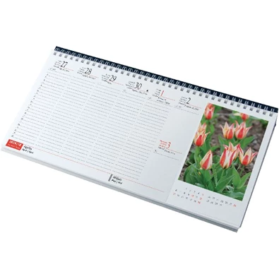 Realsystem 2024-es Virágok 7981-08 képes zöld asztali naptár