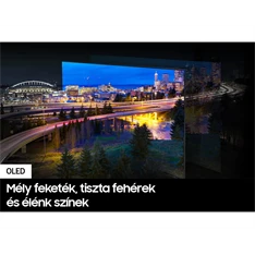 Samsung 77" QE77S90DAEXXH 4K UHD Smart OLED TV (Újszerű)