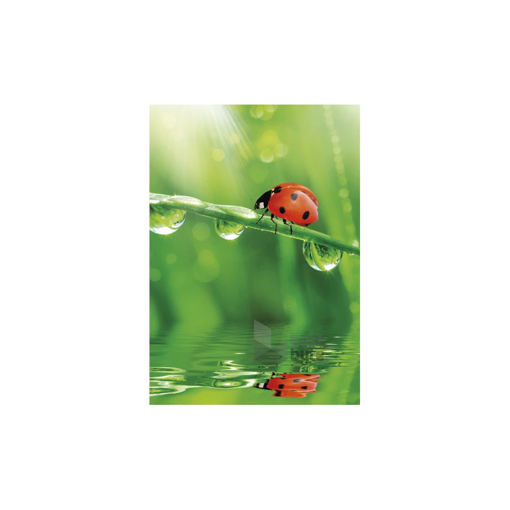 IRIS A4 irattartó mappa, különböző színekben és mintákkal, 230x315 mm