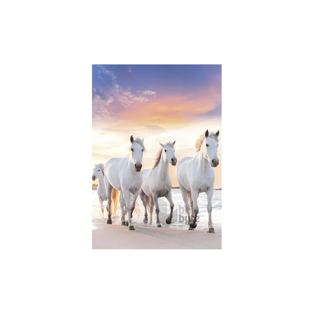 IRIS A4 irattartó mappa, különböző színekben és mintákkal, 230x315 mm