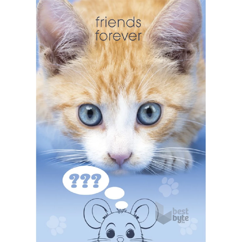 IRIS A4 irattartó mappa, különböző színekben és mintákkal, 230x315 mm