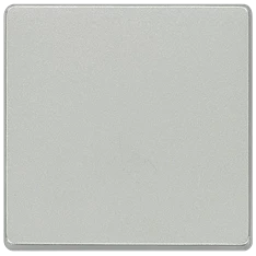Siemens 5TG6241 DELTA I-SYSTEM alumínium 1-es billentyű