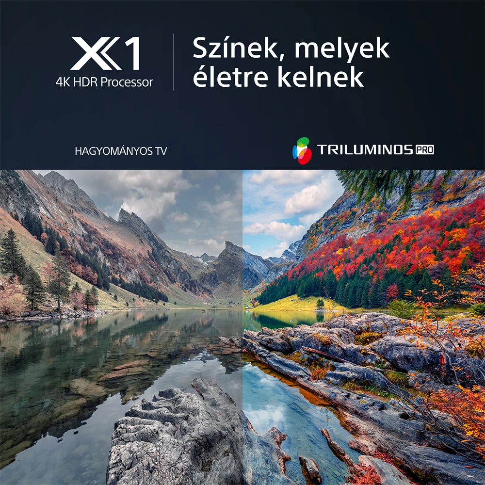 Sony 85" KD85X80LAEP 4K UHD Smart LED TV