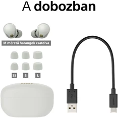 Sony WF1000XM5S.CE7 True Wireless Bluetooth zajszűrős ezüst fülhallgató
