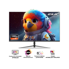 Spirit of Gamer 24" EPIC FHD IPS 165Hz HDMI/DP gamer monitor