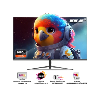 Spirit of Gamer 24" EPIC FHD IPS 165Hz HDMI/DP gamer monitor