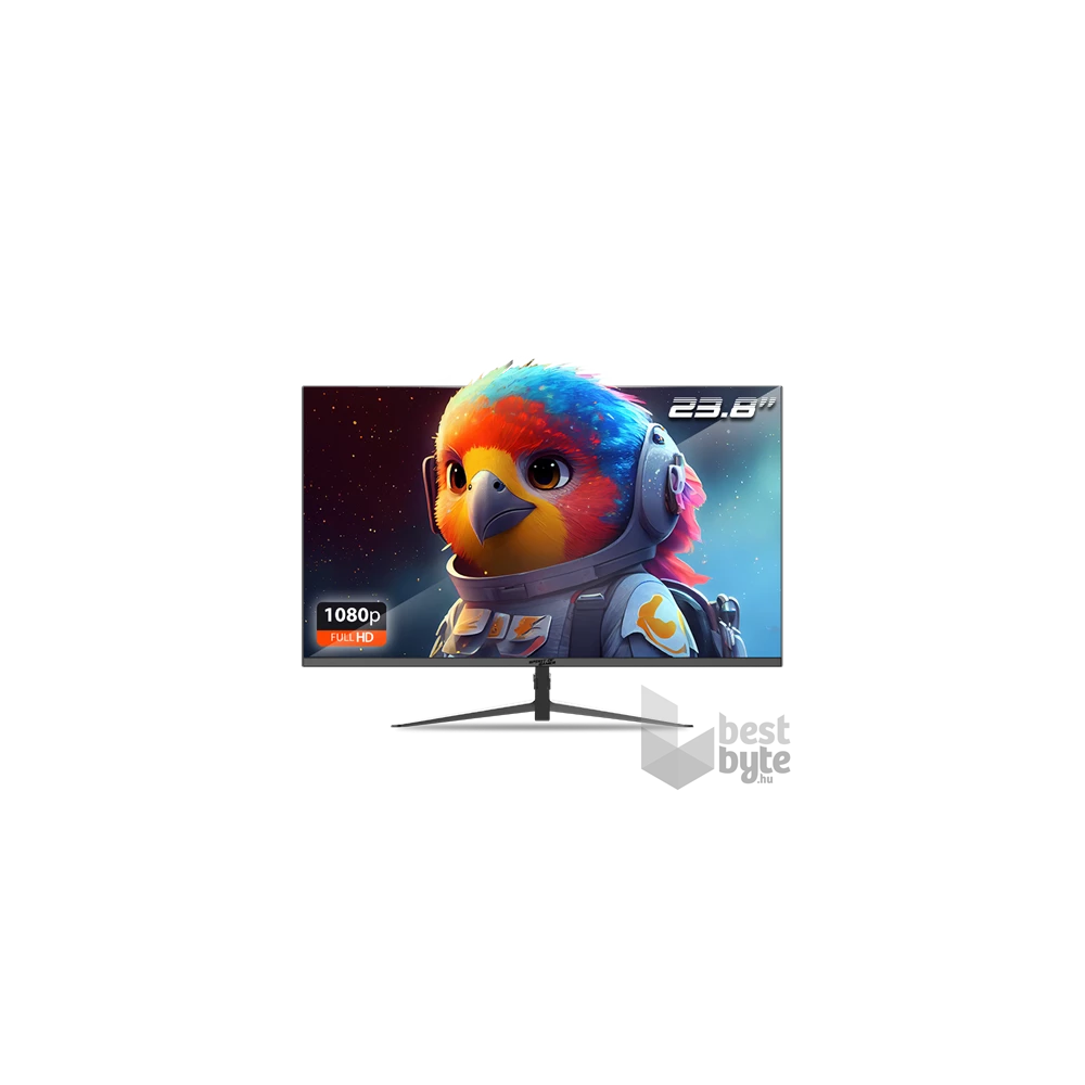 Spirit of Gamer 24" EPIC FHD IPS 165Hz HDMI/DP gamer monitor