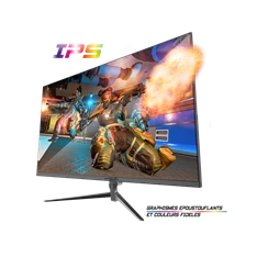 Spirit of Gamer 24" EPIC FHD IPS 165Hz HDMI/DP gamer monitor