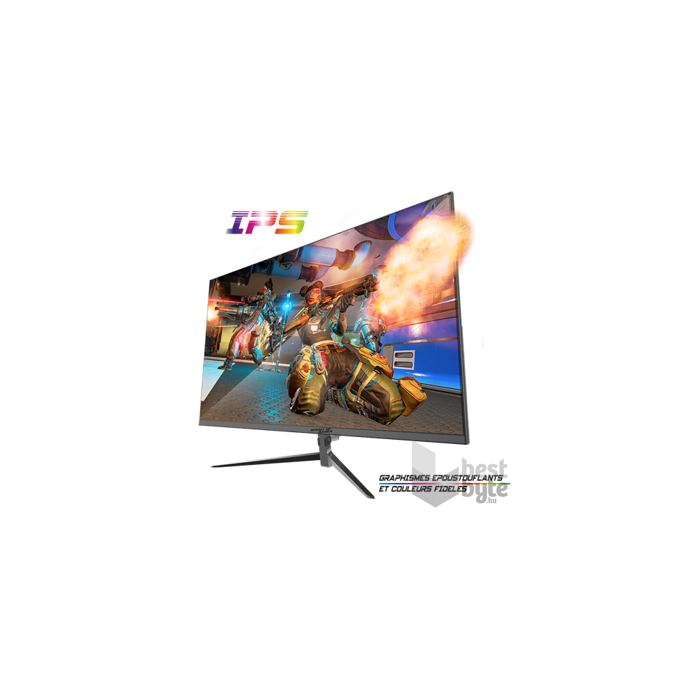Spirit of Gamer 24" EPIC FHD IPS 165Hz HDMI/DP gamer monitor