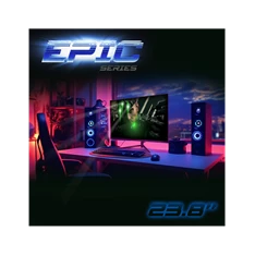Spirit of Gamer 24" EPIC FHD IPS 165Hz HDMI/DP gamer monitor