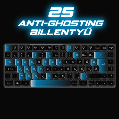 Spirit of Gamer ELITE K70 (TKL, 85 gomb,, RGB LED,USB, anti-ghost, fekete, magyar) vezeték nélküli billentyűzet