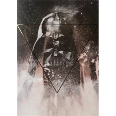 Star Wars - Leia and Vader füzetek