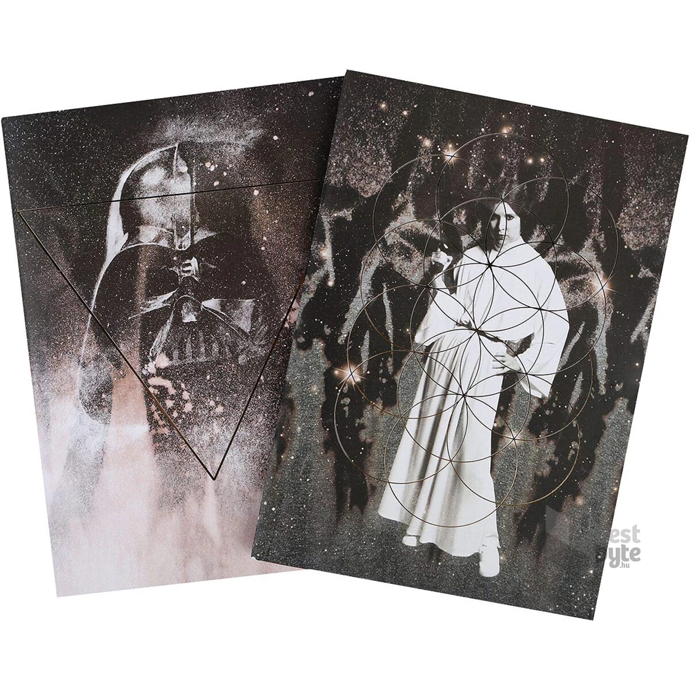 Star Wars - Leia and Vader füzetek