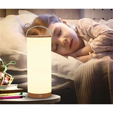 Taotronics TT-DL071 hordozható LED lámpa
