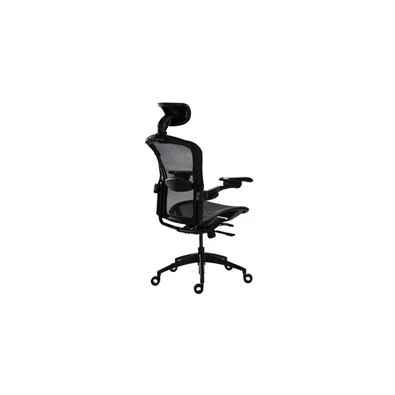 Tesoro Alphaeon E5 Mesh (BL/BL) fekete irodai forgószék