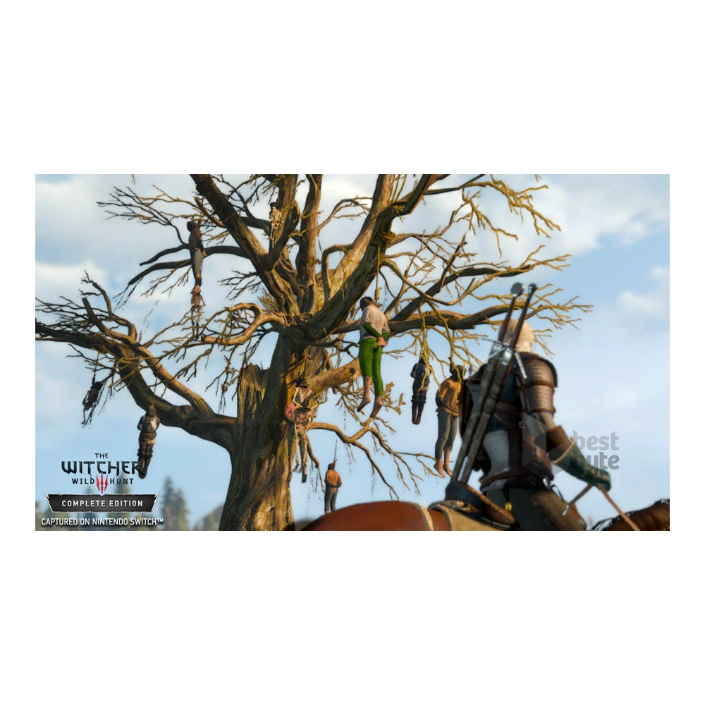 The Witcher 3: The Wild Hunt Complete Edition (D2) Nintendo Switch játékszoftver