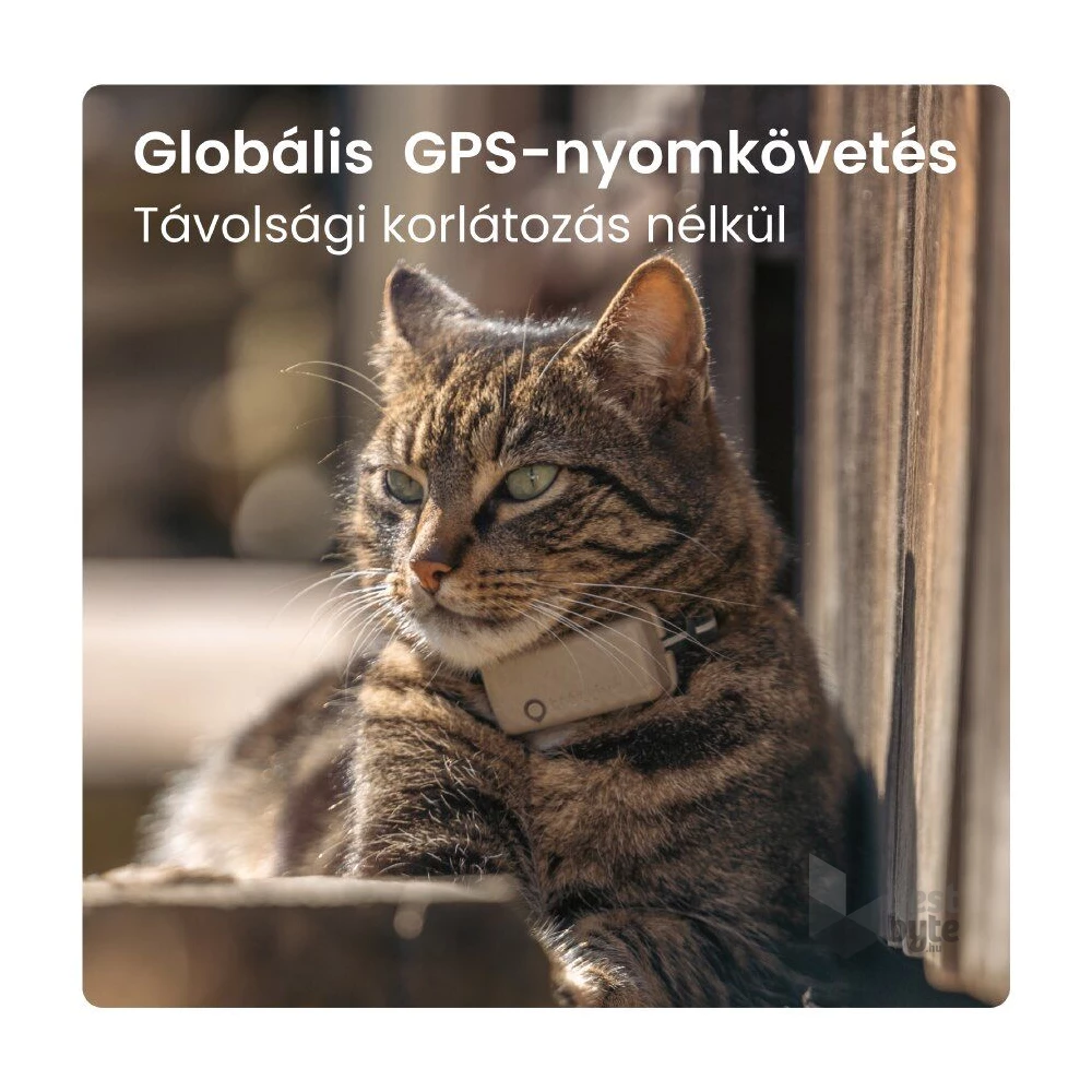 Tractive GPS CAT Mini barna macska GPS nyomkövető és tevékenységfigyelő