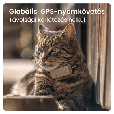 Tractive GPS CAT Mini barna macska GPS nyomkövető és tevékenységfigyelő