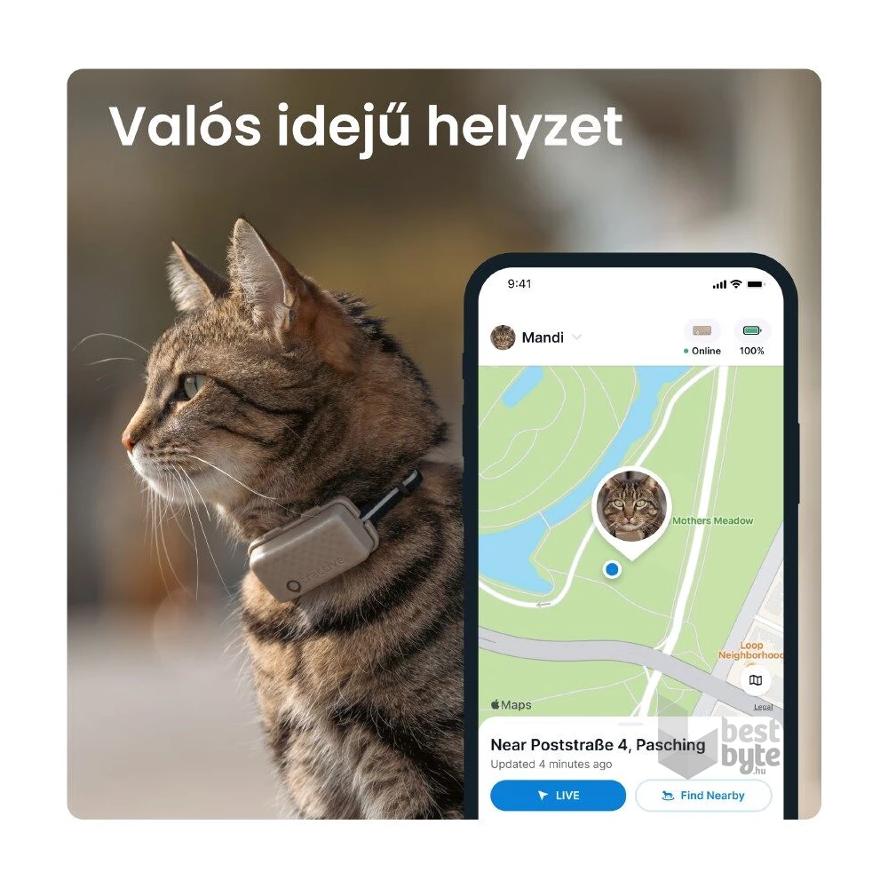 Tractive GPS CAT Mini barna macska GPS nyomkövető és tevékenységfigyelő