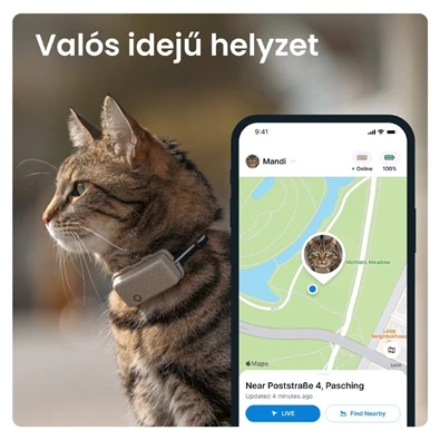 Tractive GPS CAT Mini barna macska GPS nyomkövető és tevékenységfigyelő