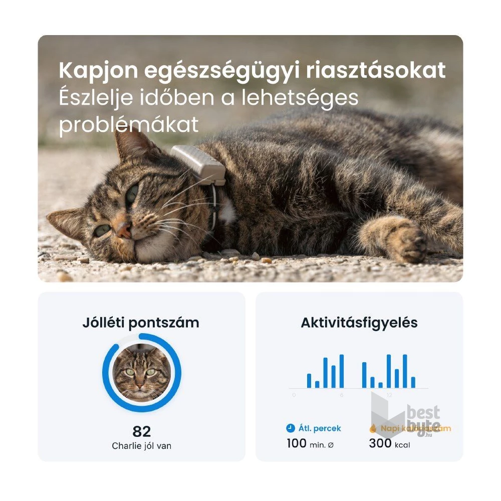 Tractive GPS CAT Mini barna macska GPS nyomkövető és tevékenységfigyelő