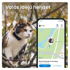 Tractive GPS CAT Mini kék macska GPS nyomkövető és tevékenységfigyelő