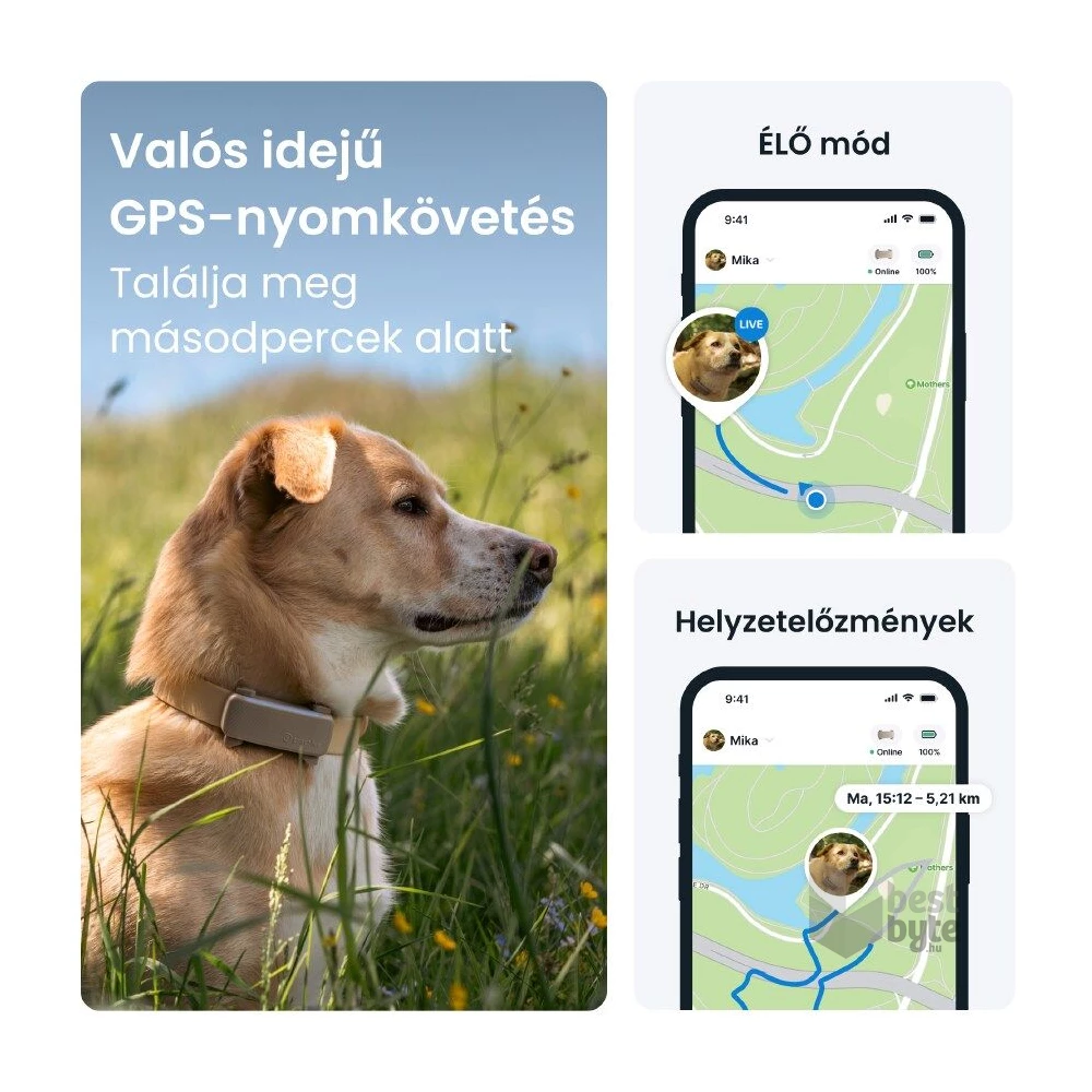 Tractive GPS DOG 6 barna kutya GPS nyomkövető és tevékenységfigyelő